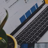 courses-17 (Demo)